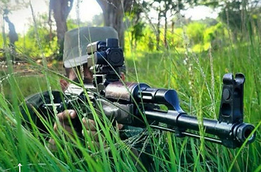 Nota de prensa N° 226.jpg